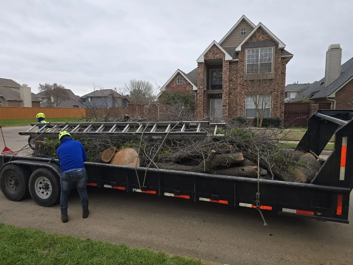 Expert Lot Clearing with proper safety equipment in Cornelius